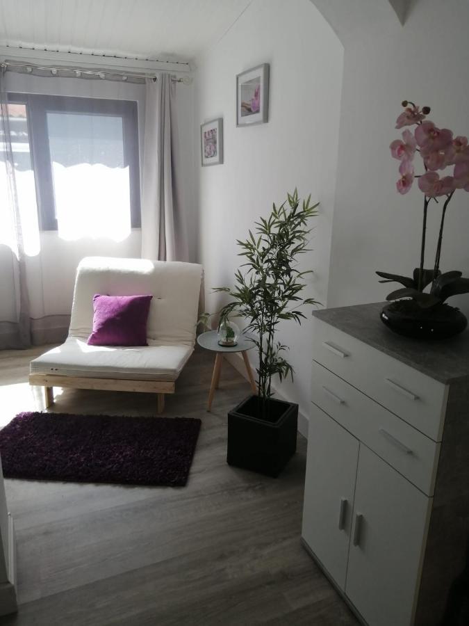 The Violet House Villa กอสตานอวา ภายนอก รูปภาพ